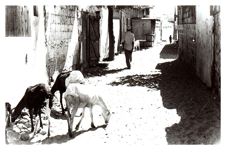 Requillem - Doudou Ndoye, également membre de l’association, fait visiter le village de Thiaroye. A chaque rue, il s’arrête pour montrer les foyers qui comptent des disparus, happés par l’océan. Ils seraient au moins 200 depuis 2006.