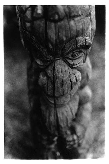 Rencontre en forêt. Sarraméa. Nouvelle-Calédonie. 2009